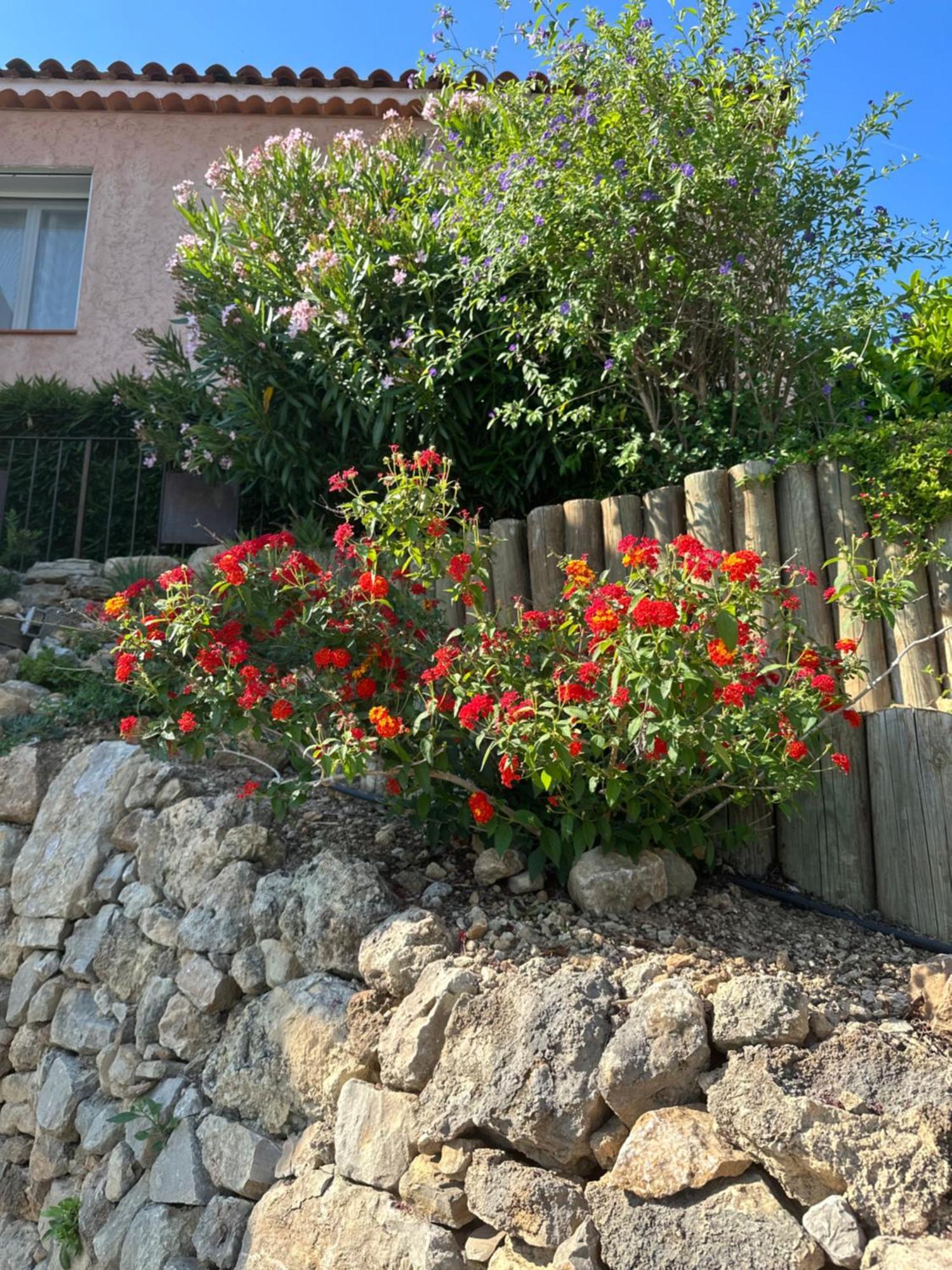 Les Amandiers Apartment Draguignan Exterior photo